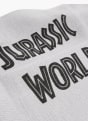 Jurassic World Pletená čiapka grau 4335 4