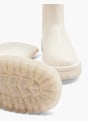 Catwalk Stivale Crema 7106 5