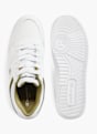 Champion Baskets Blanc 23193 3