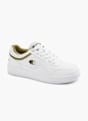 Champion Baskets Blanc 23193 6