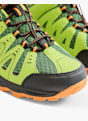 Highland Creek Niske cipele zelena 36737 5