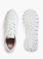 Vty Sneaker Blanco 8969 3