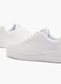 Vty Sneaker Blanco 17935 6