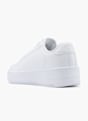 Champion Sneaker Blanco 8285 2