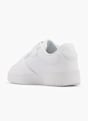 Vty Sneaker Blanco 9604 4